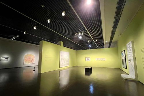 中华艺术宫开启素人策展 看一场 素以为绚 的策展